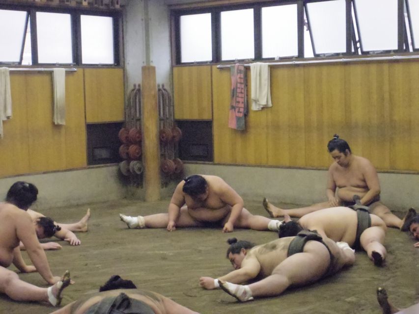 Tokyo: Sumo Morning Practice Viewing Tour - Watching real training: what the 60 to 90 minutes really look like