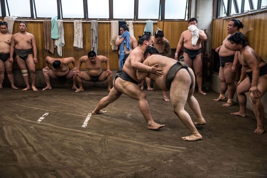 Tokyo: Sumo Morning Practice Viewing Tour - Price and value: why $81 can feel worth it