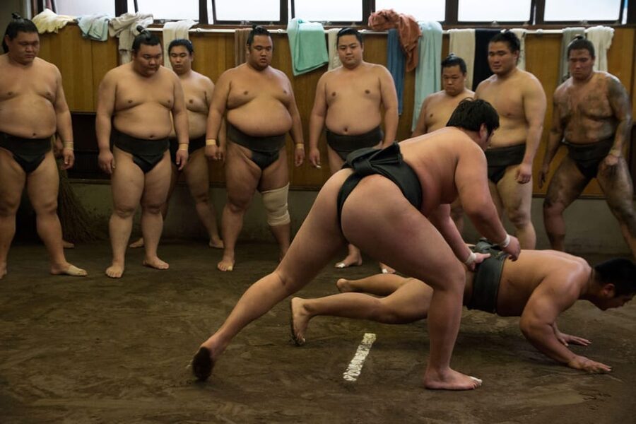 Tokyo: Sumo Morning Practice Viewing Tour - Photo rules and etiquette: how to get great results without breaking rules