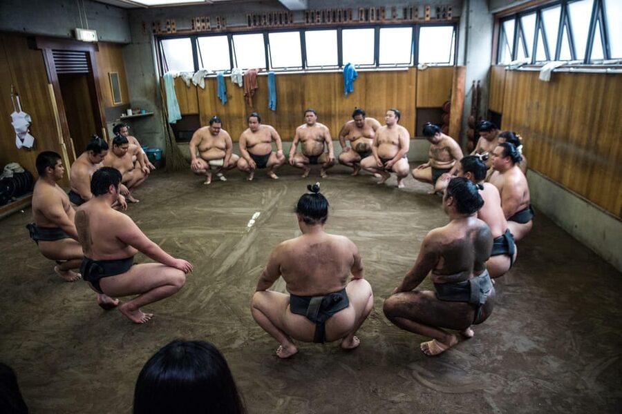 Tokyo: Sumo Morning Practice Viewing Tour - Who this tour fits best, and who should skip it