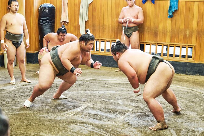 Tokyo: Sumo Morning Practice Viewing Tour at a Real Stable - Key things I’d bookmark before you go