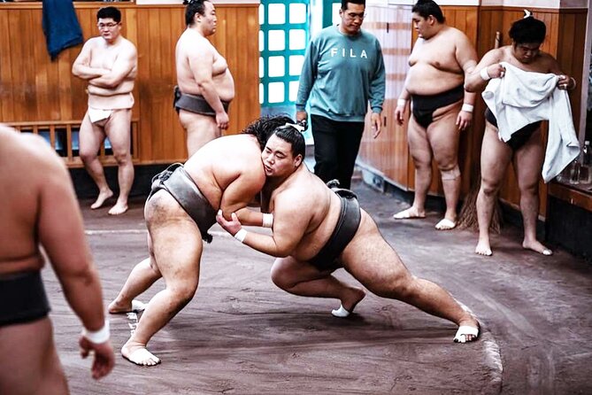 Tokyo: Sumo Morning Practice Viewing Tour at a Real Stable - Is the $98 Price Worth It for a Stable That Usually Says No?
