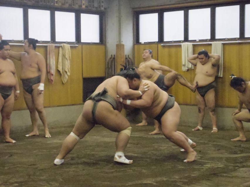 Tokyo: Sumo Morning Practice Viewing Tour - First 15 minutes: walking in with the rules in your head