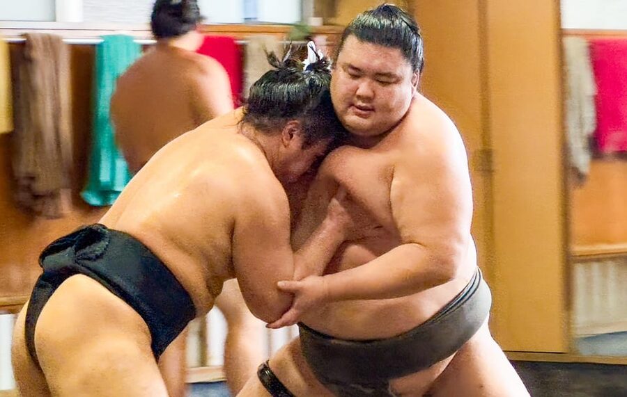 Tokyo: Sumo Morning Practice with journalists. Not fake show - Key Takeaways Before You Go