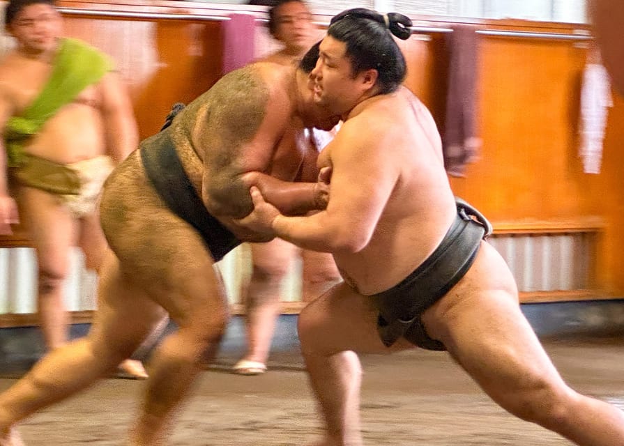 Tokyo: Sumo Morning Practice with journalists. Not fake show - Watching Morning Practice: The Part That Feels Closest to Real Life