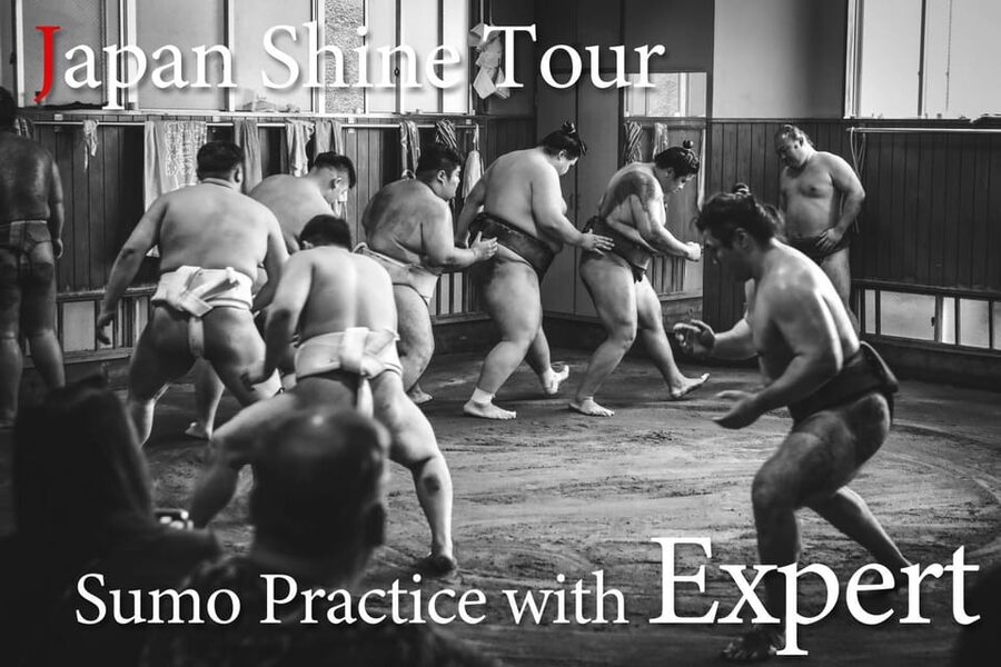 Tokyo: Sumo Morning Practice with journalists. Not fake show - Takasago-beya Sumo Stable: Where Ritual Becomes Routine