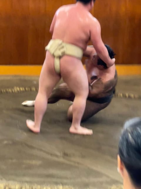 Tokyo: Sumo Morning Practice with Photo Banzuke and Guide - Key things you’ll notice