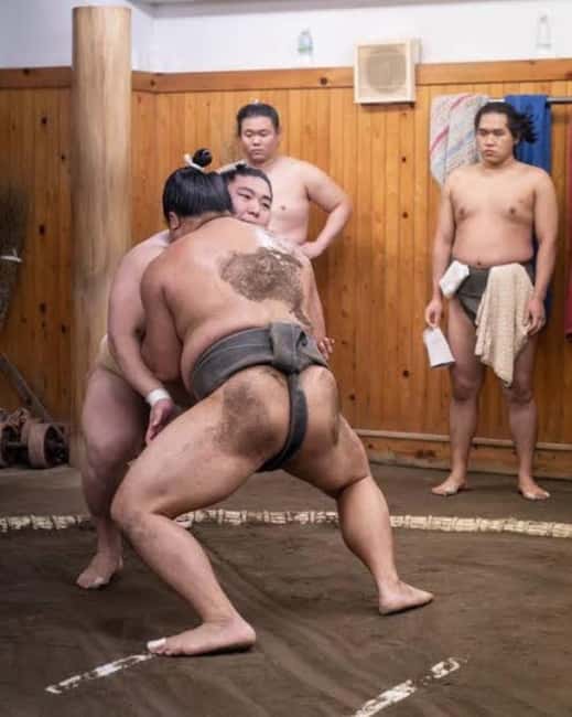 Tokyo: Sumo Show and Experience in Shinjuku - Why This Shinjuku Sumo Show Works So Well