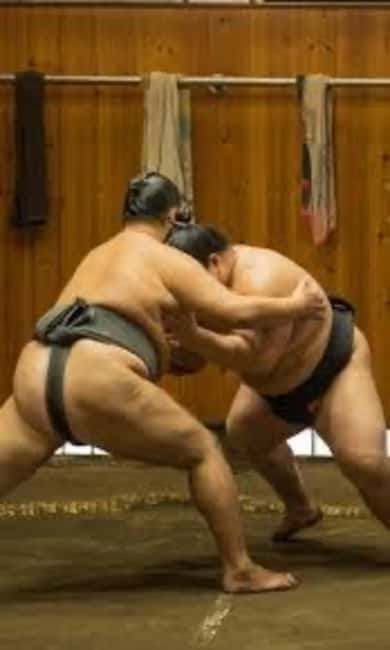 Tokyo: Sumo Show and Experience in Shinjuku - Getting There: Sekisaku Building, Second Floor