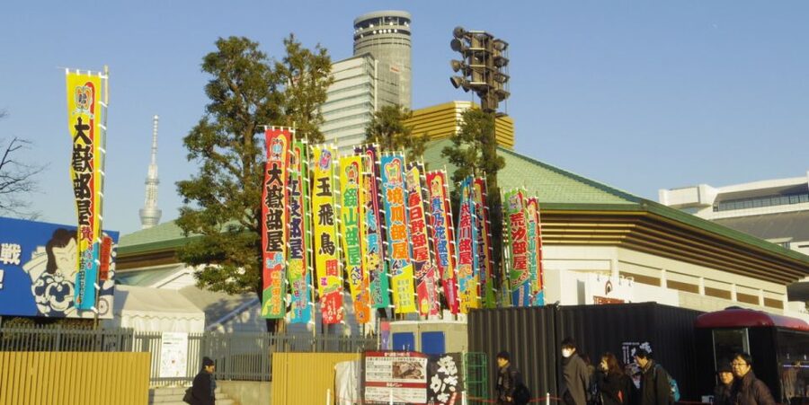 Tokyo: Sumo Tournament Tour with Chair Seat Tickets - Key things I’d circle before you go