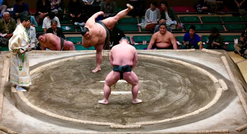 Tokyo: Sumo Tournament with Guide & Assigned Reserved Seat - Price and Logistics: The Value Debate (and How to Think About It)