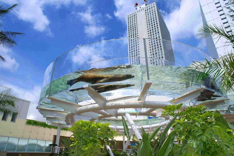 Tokyo: Sunshine Aquarium Entry Ticket - Key Highlights at a Glance