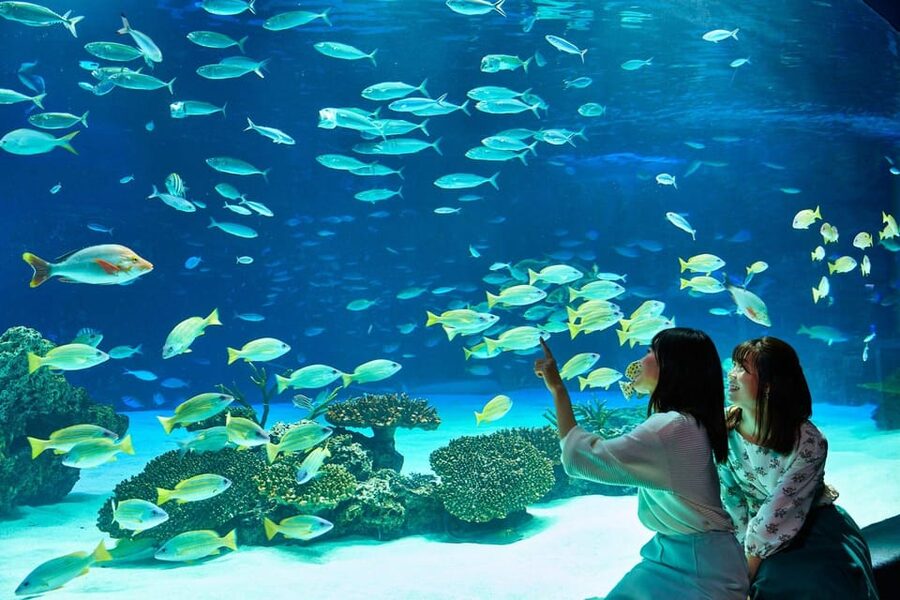 Tokyo: Sunshine Aquarium Entry Ticket - Water and Greenery That Actually Change the Mood