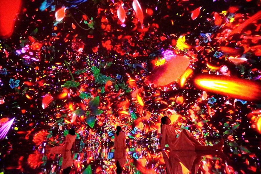 Tokyo: teamLab Planets TOKYO Digital Art Museum Entry Ticket - Should you book teamLab Planets TOKYO?