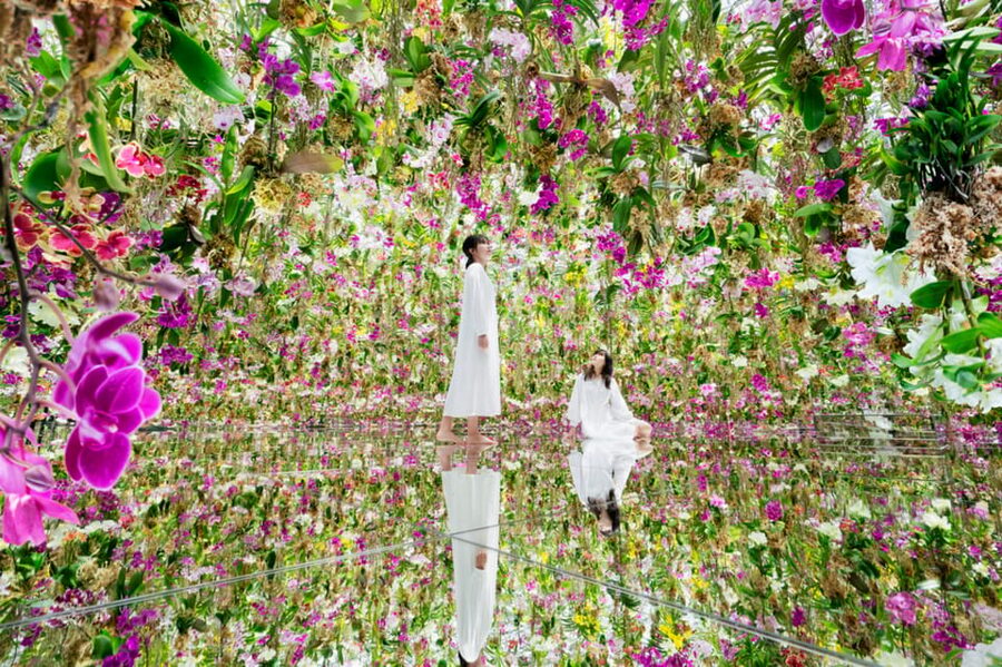 Tokyo: teamLab Planets TOKYO Digital Art Museum Entry Ticket - Timed entry rules and your voucher, the stuff that keeps it smooth