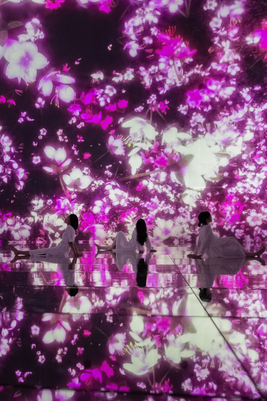 Tokyo: teamLab Planets TOKYO Digital Art Museum Entry Ticket - Barefoot galleries and the water-up-to-knee reality