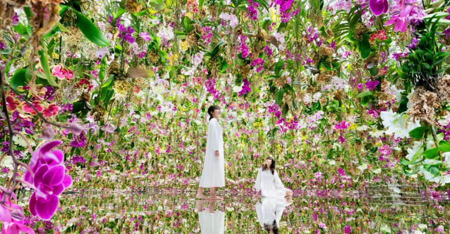 Tokyo: teamLab Planets TOKYO Digital Art Museum Entry Ticket - Flower installations, falling petals and orchid-style rooms