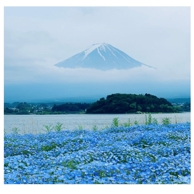 “Tokyo to Mt. Fuji & Hakone: Private Customizable Day Trip” - Lake Kawaguchiko: the calm between Fuji stops