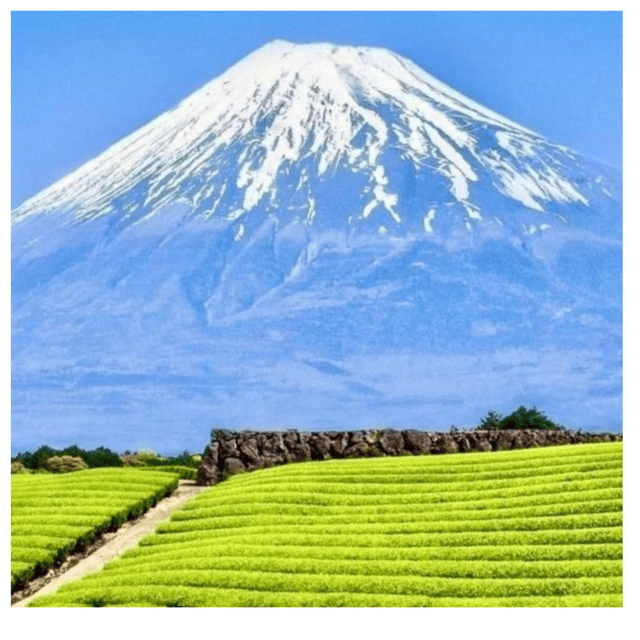 “Tokyo to Mt. Fuji & Hakone: Private Customizable Day Trip” - Pickup timing in Tokyo: where you start shapes the day