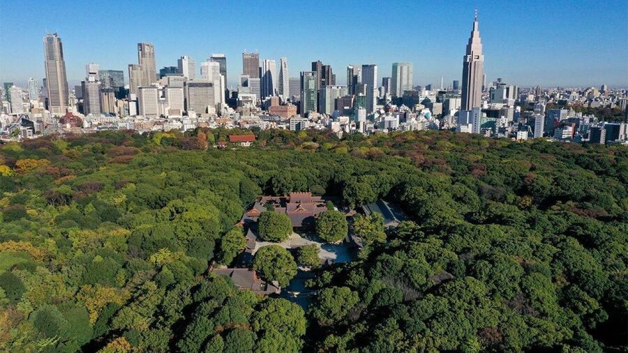 Tokyo: Tokyo Private Day Tour With Guide - Meiji Jingu Shrine: forest calm after the neon