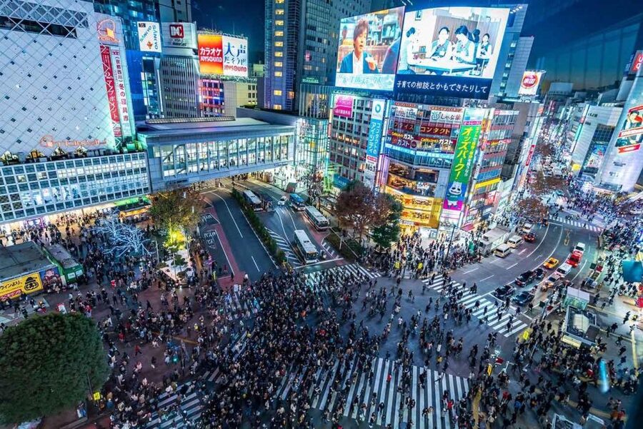 Tokyo: Tokyo Private Day Tour With Guide - Akihabara Electric Town: tech, anime, and hands-on browsing