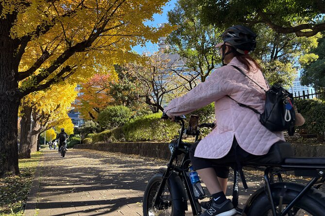 Tokyo Top Highlights 3h Guided E-bike Tour - Guides Make the Difference, Especially on Busy Roads