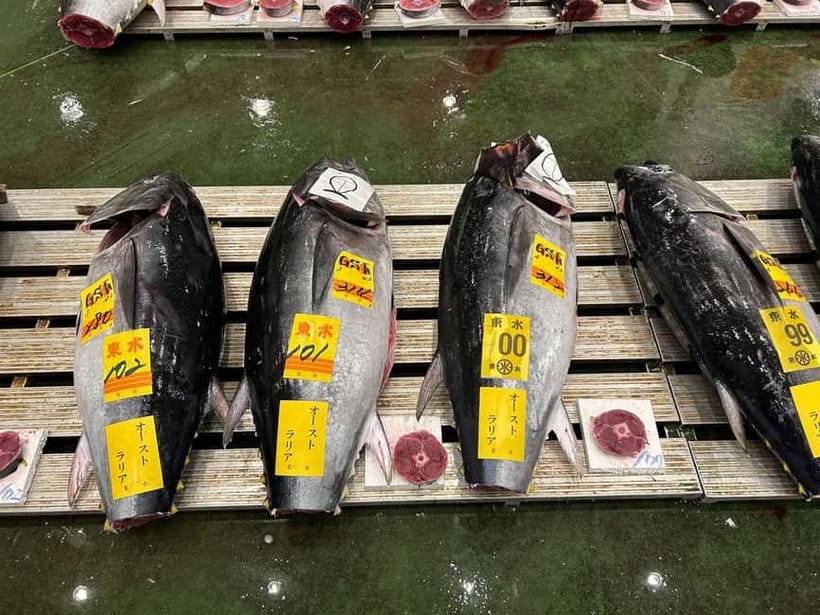 Tokyo Toyosu Tuna Auction + Breakfast (Sushi Dai or Bentomi) - Toyosu’s tuna auction is the real Tokyo wake-up call