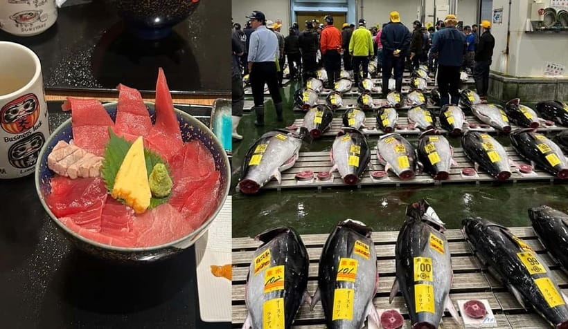 Tokyo Toyosu Tuna Auction + Breakfast (Sushi Dai or Bentomi) - Ground-level deck versus 3rd-floor gallery: choose your kind of proximity