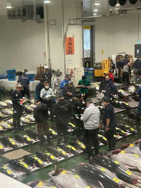 Tokyo Toyosu Tuna Auction + Breakfast (Sushi Dai or Bentomi) - Should you book? My quick decision checklist