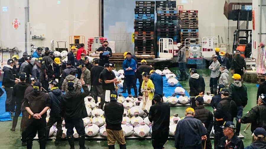 Tokyo: Toyosu Tuna Auction &Tsukiji Market Gourmet Adventure - Guides Make or Break the Morning (Tim, Ethan, Lin, Eon)