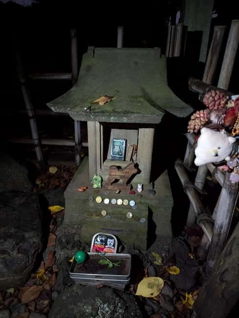 Tokyo: True Crime And Ghost Stories Tour - Toyama Park: Unit 731, Victim Stories, and a Respectful Kind of Spooky