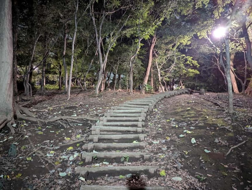 Tokyo: True Crime And Ghost Stories Tour - Aoyama Cemetery, Hachiko’s Grave, and Ghost Stories in the Dark