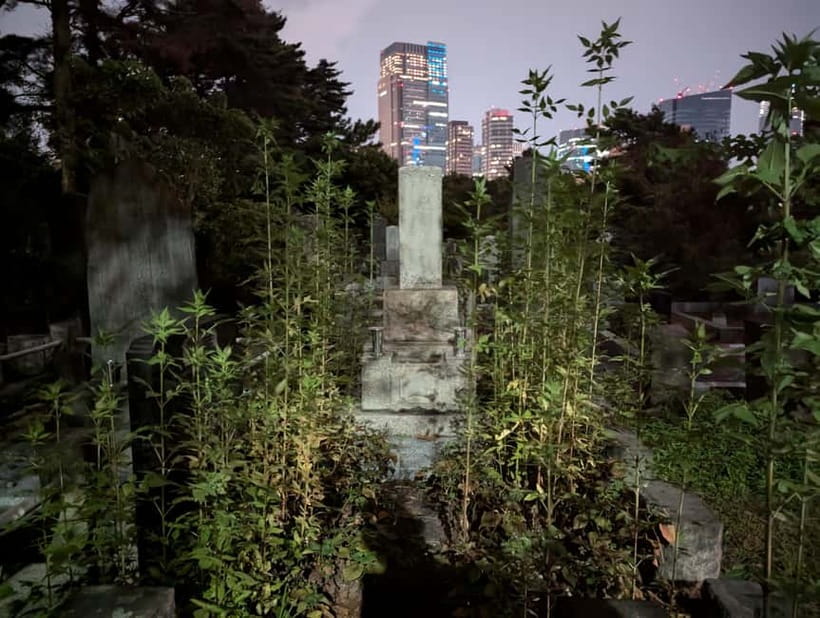 Tokyo: True Crime And Ghost Stories Tour - FAQ