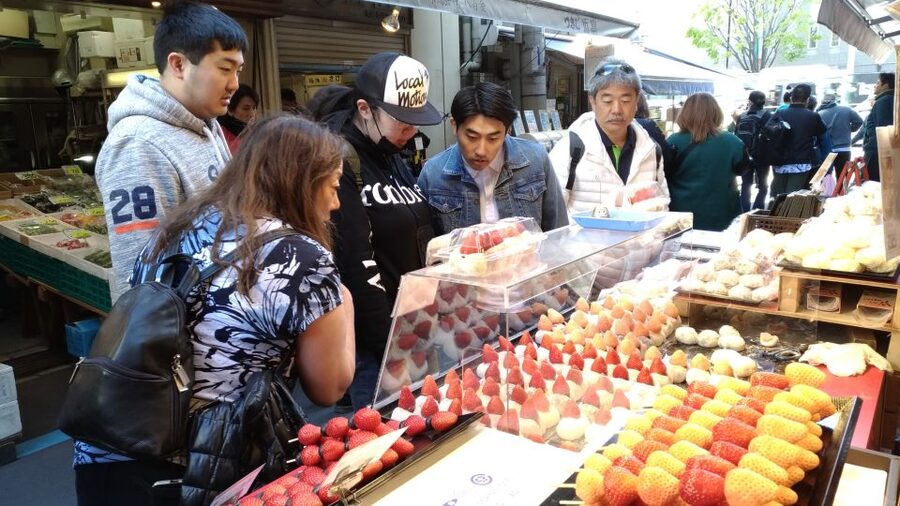 Tokyo Tsukiji Food & Culture Private Tour Licensed Guide - Choosing your stops, from Toyosu to kitchenware heaven