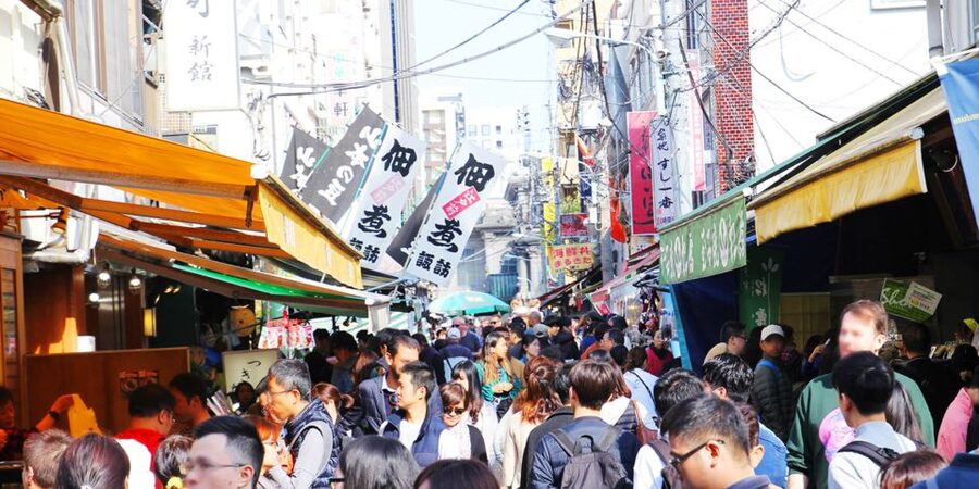 Tokyo Tsukiji Food & Culture Private Tour Licensed Guide - Asakusa and Ueno Ameyoko: street food energy in two different styles