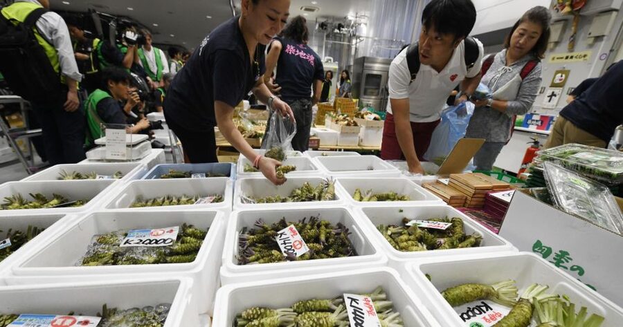 Tokyo Tsukiji Food & Culture Private Tour Licensed Guide - Meeting point and navigation: what to expect before you even start