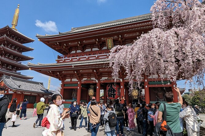 Tokyo VIP Guided Private Car Tour with Optional Airport Transfer - Key highlights worth your attention