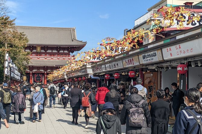 Tokyo VIP Guided Private Car Tour with Optional Airport Transfer - Private car and English guide, from hotel pickup to time saved