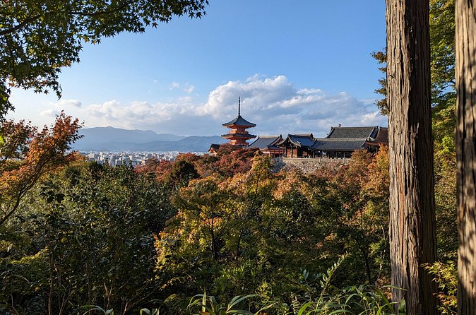 Tour in Kyoto with a Goverment Certified Tour Guide - Kinkaku-ji and Ginkaku-ji: The Golden Pavilion and the $8 Reality