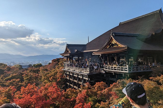Tour in Kyoto with a Goverment Certified Tour Guide - Arashiyama Forest, Tenryu-ji, and Possible Monkey-Park Time