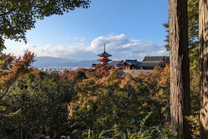 Tour in Kyoto with a Goverment Certified Tour Guide - Fushimi Inari-taisha, Kiyomizu-dera, and Nijo Castle: Shrine to Palace