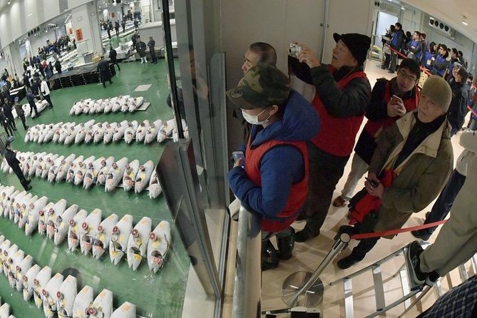 Toyosu Market Morning Tuna Auction and Tsukiji Food Tour with Licensed Guide - The 5:00 am reality check, and why it’s worth it