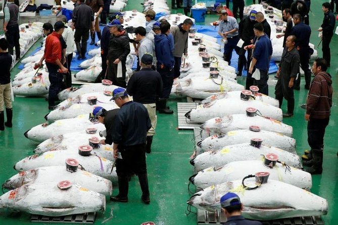 Toyosu Market Morning Tuna Auction and Tsukiji Food Tour with Licensed Guide - Toyosu Market, the tuna workflow you can actually picture