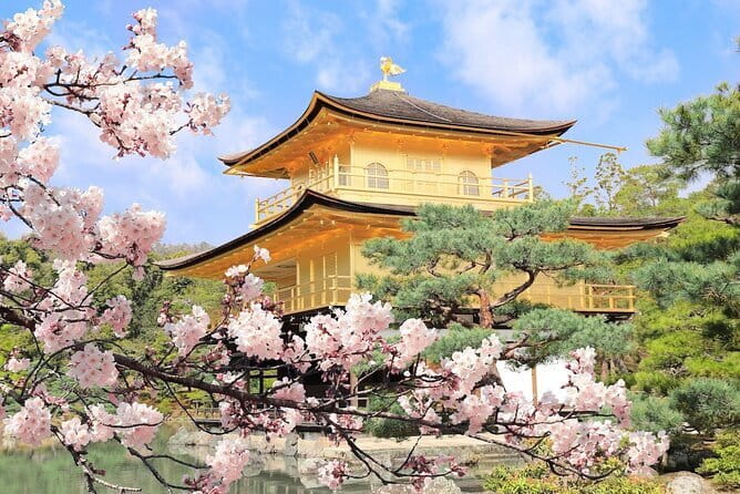 Traditional Japanese Music show & Experience Tour in Osaka - Price and Value: What $46.12 Buys You in Real Terms