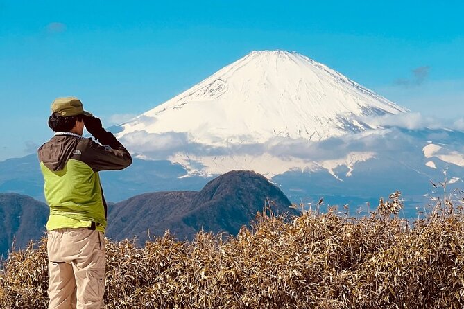 Traverse Outer Rim of Hakone Caldera and Enjoy Onsen Hiking Tour - Getting to the trailhead: taxi gets you hiking faster