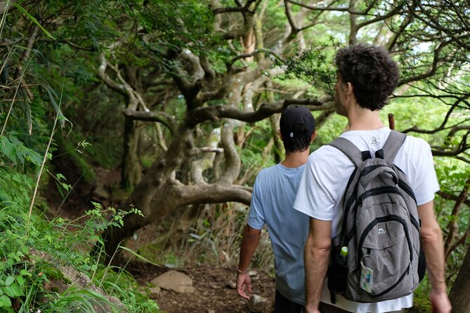 Traverse Outer Rim of Hakone Caldera and Enjoy Onsen Hiking Tour - Stop 2: Mt. Marudake top and the ridge walk for panoramic views