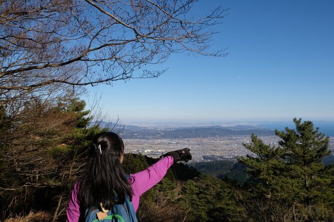 Traverse Outer Rim of Hakone Caldera and Enjoy Onsen Hiking Tour - Lake Ashinoko: a shorter downhill moment before lunch