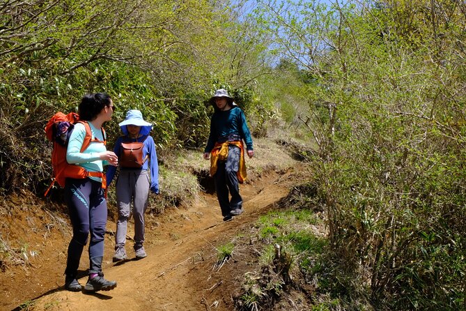Traverse Outer Rim of Hakone Caldera and Enjoy Onsen Hiking Tour - Togendai lunch break: fuel with options near the water