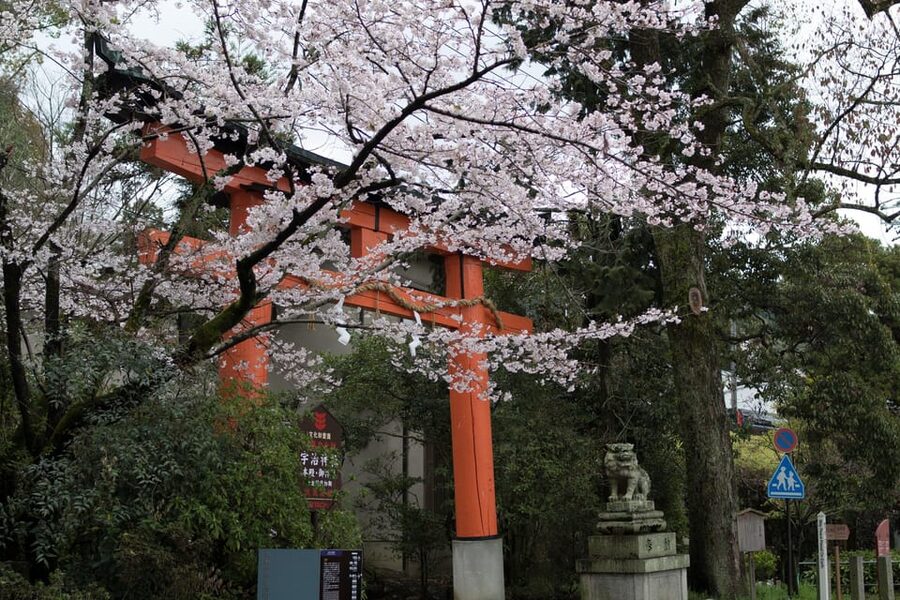 Uji: UNESCO Heritage & Tea Ceremony Walking Tour - Key Things You Will Notice On This Uji Walking Tour
