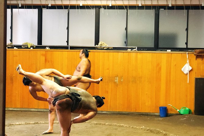 Watch Sumo Morning Practice at Stable in Tokyo - How Respectful Watching Works in the Dohyo